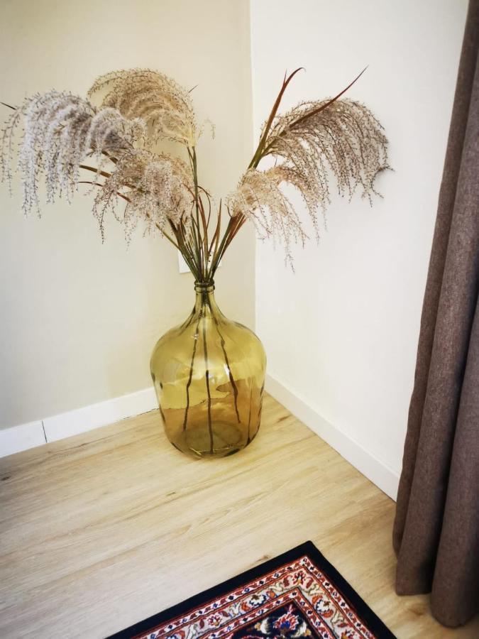 Vida Y Mar Apartamentos Peñíscola 외부 사진